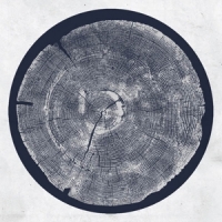 Montgomery, Roy R  Tropic Of Anodyne