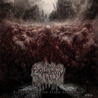 Exhaurity Elucidations On Flesh Paradoxes