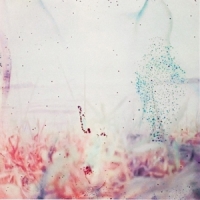 Pluralone To Be One With You