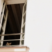 M(h)aol Something Soft