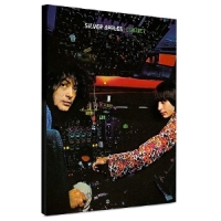 Silver Apples Contact