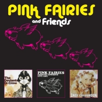 Pink Fairies Pink Fairies And Friends