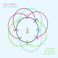 Coleman, Steve Harvesting Semblances And Affinities
