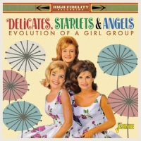 Delicates, Starlets & Angels Evolution Of A Vocal Group