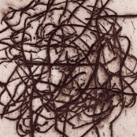 Leimer, K. & Marc Barecca Arrhythmian