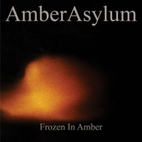 Amber Asylum Frozen In Amber