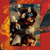 Hand Habits Sugar The Bruise