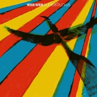 Web Web Plexus Plexus