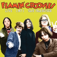 Flamin' Groovies Live 1971 San Francisco