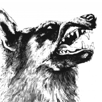 Crippled Black Phoenix I, Vigilante