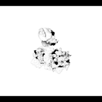 Webber, Anna And Matt Mitchell Capacious Aeration