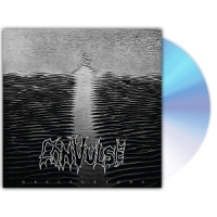 Convulse Reflections