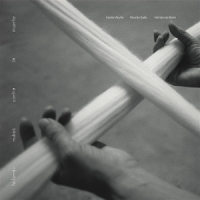 Vicuna, Cecilia/ricardo Gallo/hombre Tejiendo Nubes Contra La Muerte