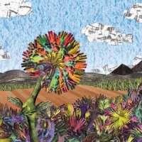 Parts & Labor Constant Future