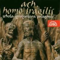 Noskaiova, Petra Ach, Homo Fragilis