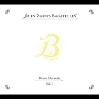 Zorn, John The Bagatelles Vol. 7 - Brian Marsella