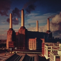 Pink Floyd Animals