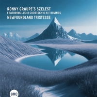 Graupe S Szelest, Ronny Newfoundland Tristesse