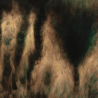 Basinski, William Lamentations