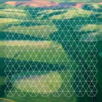 Plotnick, Henry Fields