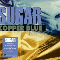 Sugar Copper Blue