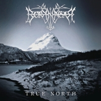 Borknagar True North