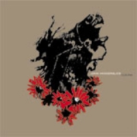 Vanderslice, John Cellar Door