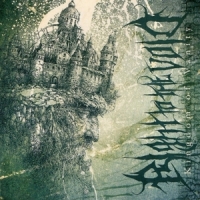 Right To The Void Kingdom Of Vanity