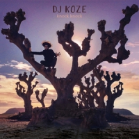 Dj Koze Knock Knock