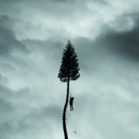 Manchester Orchestra A Black Mile To The Surface