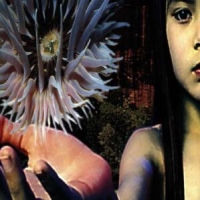 Future Sound Of London, The Lifeforms
