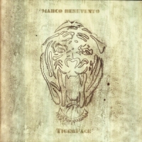 Marco Benevento Tigerface