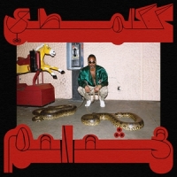 Shabazz Palaces Robed In Rareness