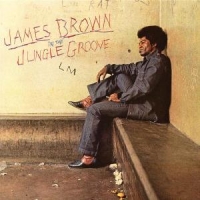 Brown, James In The Jungle Groove (rem.)