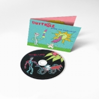 Butthole Surfers After The Astronaut