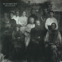 Pineapple Thief Abducted At Birth