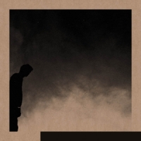 Allred, David Felt The Transition