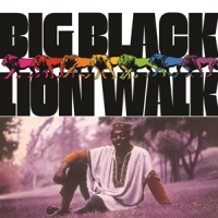 Big Black Lion Walk