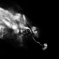 Saffronkeira A New Life Part Ii