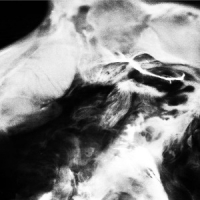 Saffronkeira A New Life