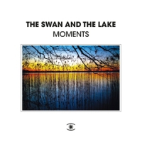 Swan And The Lake Moments