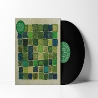 Land Of Echo Almost Music