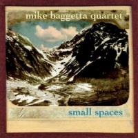 Baggetta, Mike -quartet- Small Spaces