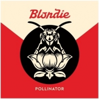 Blondie Pollinator