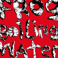 Diiv Frog In Boiling Water -limited-