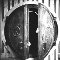 Damaged Bug Bunker Funk