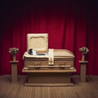 Pepper, Gregory & His Problems No Thanks