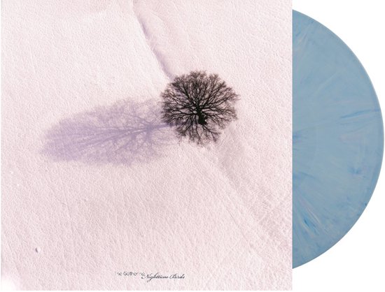 Gathering Nighttime Birds -coloured-