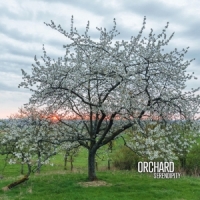 Orchard (aidan Baker, Gaspar Claus, F Serendipity
