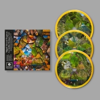 Miguel Atwood-ferguson Les Jardins Mystiques Vol.1